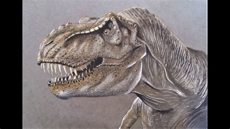 Dessiner Un T Rex R Aliste Draw Realistic T Rex Youtube