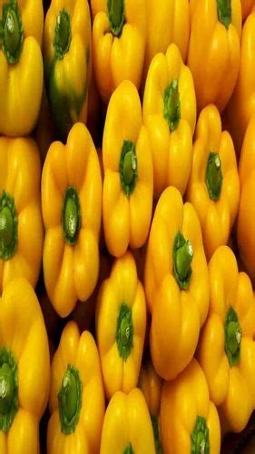 A Grade Yellow Capsicum Karnataka Packaging Size Kg At Rs Kg