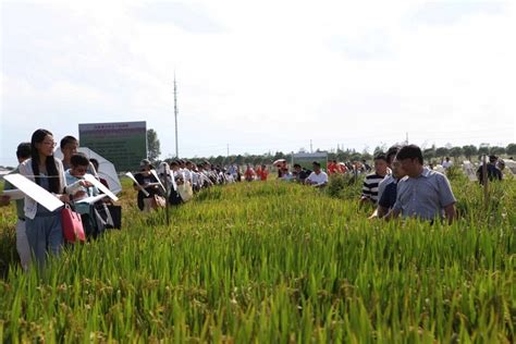 “2018年全国水稻优异种质资源现场展示与学术交流会”在合肥召开中国农业科学院作物科学研究所作物种质资源中心