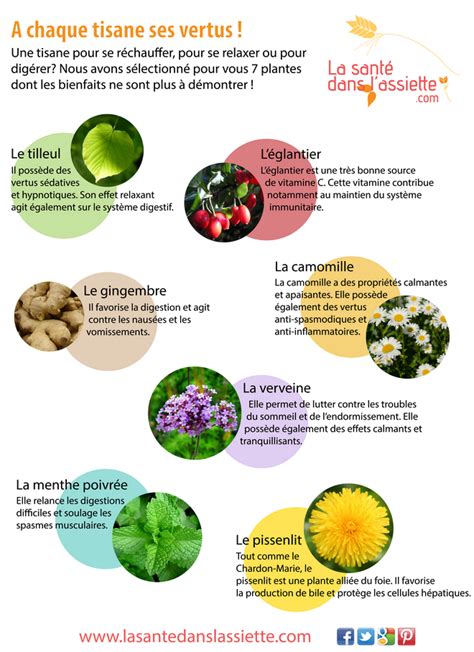 La Sant Dans L Assiette Fiche Pratique A Chaque Tisane Ses Vertus