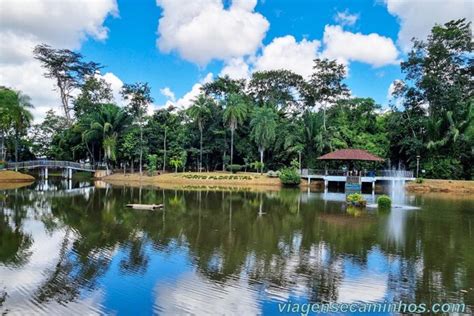 O Que Fazer Em Rio Branco Acre Viagens E Caminhos