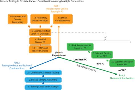 Frontiers Genetic Testing And Its Clinical Application In Prostate