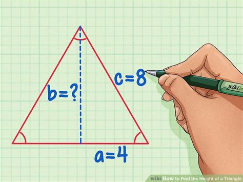 4 Ways To Find The Height Of A Triangle Wikihow