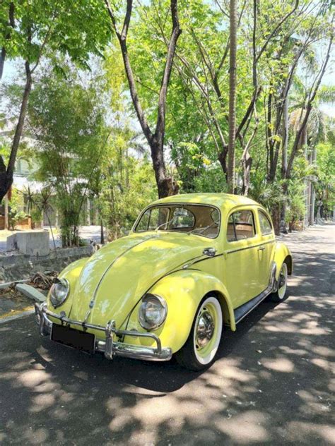 Vw Beetle Kodok Semaphore Dijual Co Id