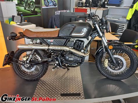 Neumotorrad United Motors UM Scrambler X Naked 125 Baujahr 2022 3