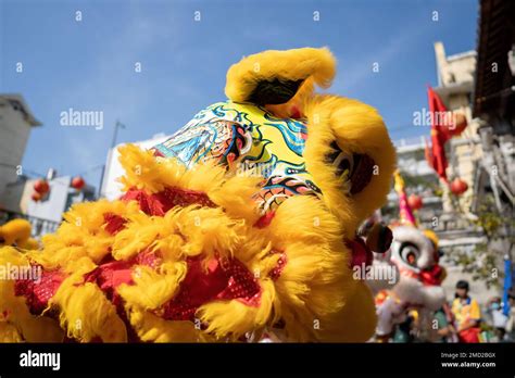 Espect Culo De Danza Del Drag N Y El Le N En El Festival Del A O Nuevo