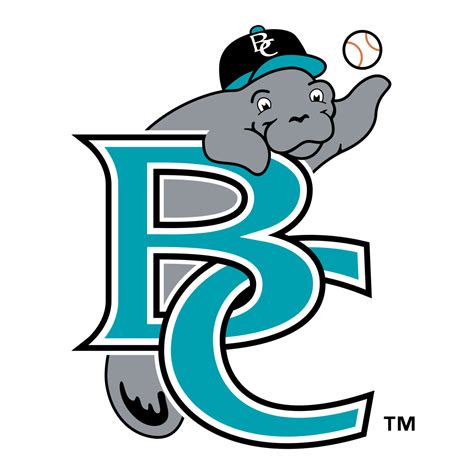 Brevard County Manatees Logo PNG Transparent Brands Logos