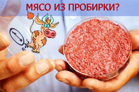 Все про мясо: Американцы хотят накормить мир искусственным мясом ...