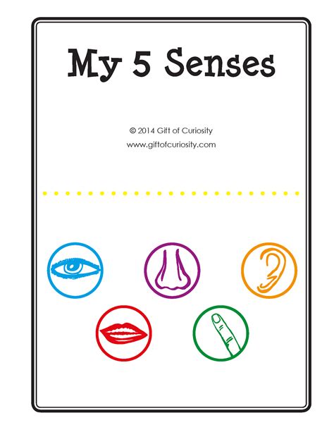 My Five Senses Book