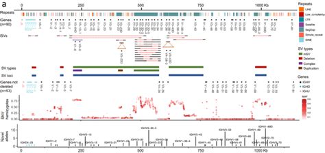 The HiFi Difference Resolving The Most Complex Genomic Regions PacBio