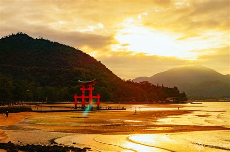 Top 10 Things To Do In Miyajima Islands Japan