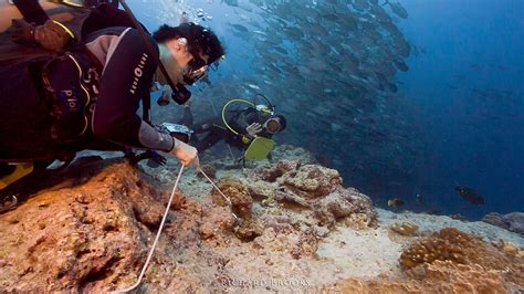 Palau Bags Top Award In Japan Diving Fair