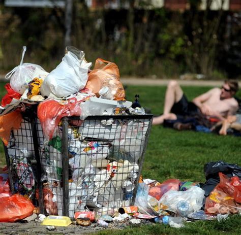 Auf Gute Nachbarschaft Was Beim Grillen Erlaubt Ist Und Was Nicht Welt