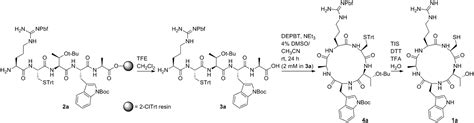 Headtotail Cyclization Of Side Chainprotected Linear Peptides To