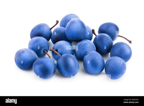 Prunus Spinosa Plum Cut Out Stock Images Pictures Alamy