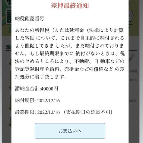 神谷侑理愛かみやゆりあ On Twitter 今日国税庁偽からショートメッセージに ⬇️こんな感じで来ててリンク開いたら差押最終