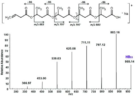 The Esi Ms Ms Fragmentation Spectrum Of Selected Sodium Adduct Of Hb