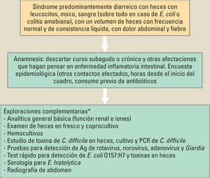 Protocolo Diagn Stico Y Terap Utico De La Diarrea Inflamatoria Aguda