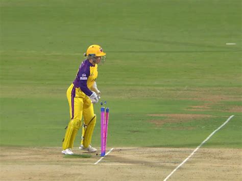 Upw Vs Mi Wpl Match Moments Alyssa Healy पिच पर फैन से भिड़ गई एलिसा