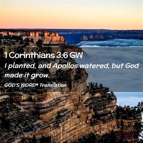 1 Corinthians 3:6 GW - I planted, and Apollos watered, but God made it