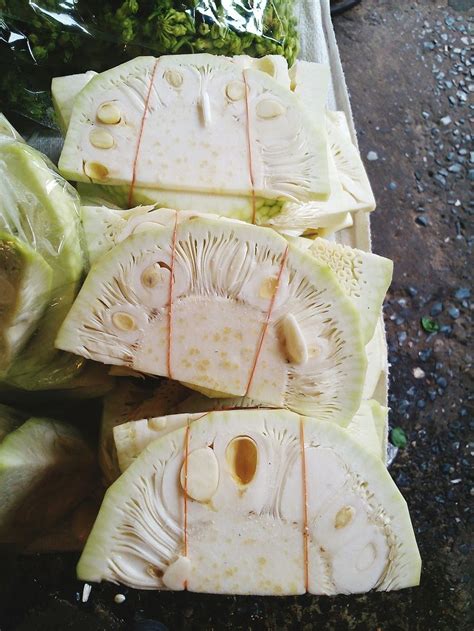 Everything You Need To Know How To Cook Jackfruit Like A Boss Brit Co