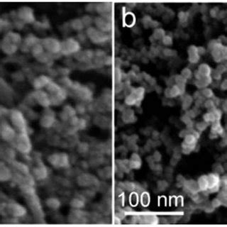 High Magnification FE SEM Micrographs Of WsOCNPs Synthesized From A