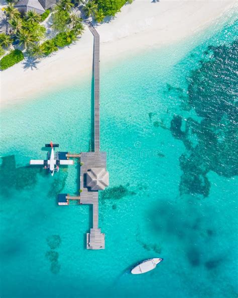 Vista Aerea Di Splendide Spiagge Bianche E Palme Isola Delle Maldive