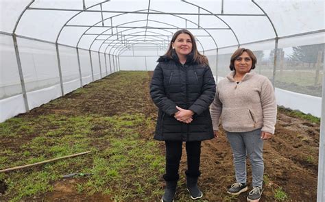 Programa Del Gobierno Regional Potencia Emprendimientos Femeninos En La