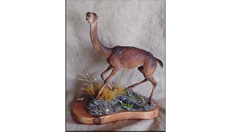 Images and collectibles of living & extinct animals