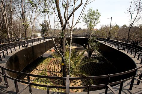 Calzada Flotante De Chapultepec Ideal Para Tarde Familiar Fotos