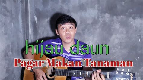 Hijau Daun Pagar Makan Tanaman Echo Mposer Cover YouTube