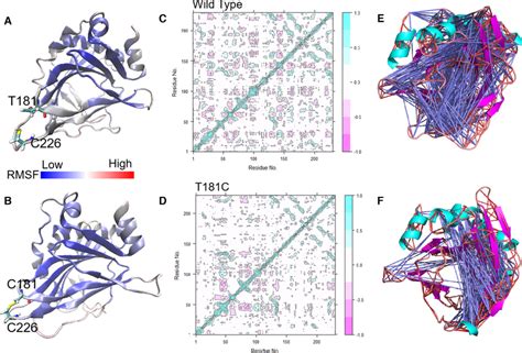 Correlation Analysis Among Residues Of All Amino Acids A B The Rmsf