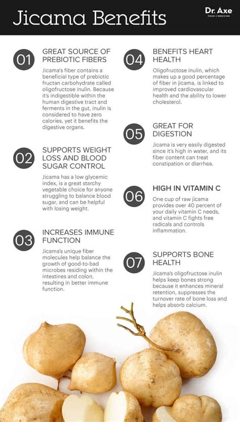 7 Jicama Health Benefits Plus Nutrition Facts And How To Use Dr Axe