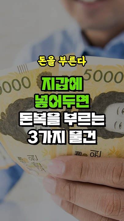 지갑에 넣어두면 돈복을 부르는 3가지 물건 돈복 크게 터진다 재물운 올리는 방법 부자의 특징 재물운 올리는 인테리어