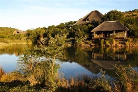 Shamwari Game Reserve South Africa Cape Insights