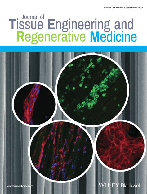 Pdf Tissue Engineering And Regenerative Medicine