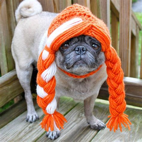 Funny Animals In Crochet Clothes (21 pics)