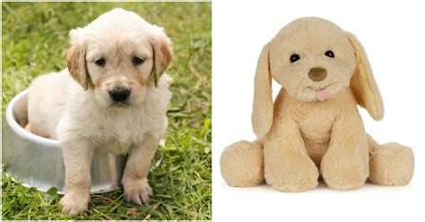 Toy Dogs For Kids Who Desperately Want A Puppy (But You’re Like, “Hell No”)