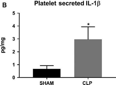 Rat Il Beta Il F Quantikine Elisa Kit R D Systems Univ