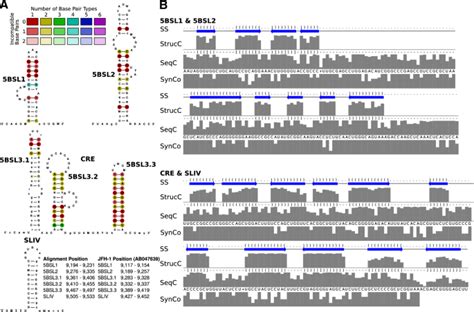 Comprehensive Survey Of Conserved Rna Secondary Structures In Full