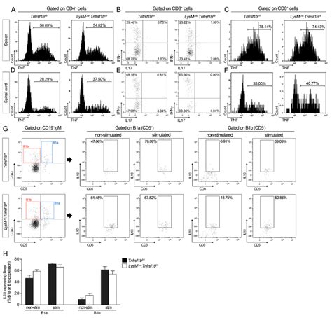 Figure S Related To Figure Ablation Of Tnfr In Lysm Cre Tnfrsf B