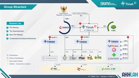 Ownership Structure And Business Groups Pt Timah Tbk