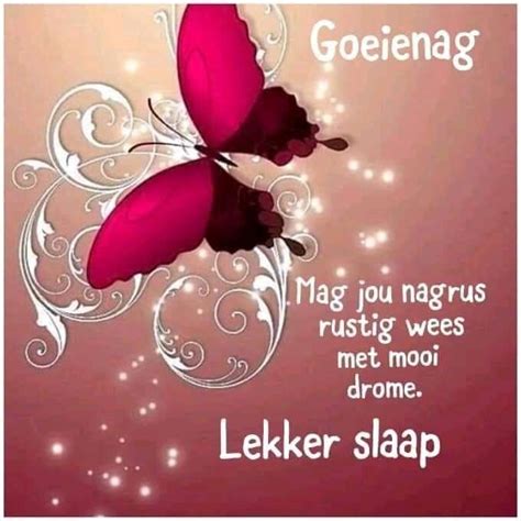 Pin By Doreen Longo On Good Night Lekker Slaap Good Night Wishes