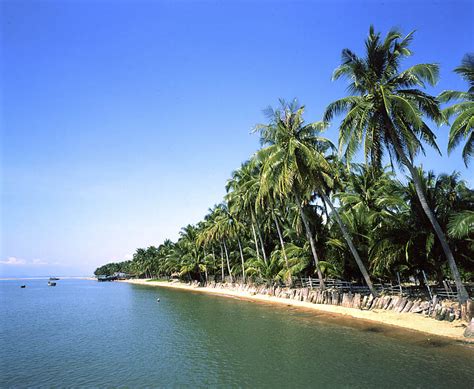 Ninh Chu beach- one of the most beautiful beaches in Vietnam