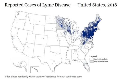 What Is Lyme Disease Symptoms Rash Treatments