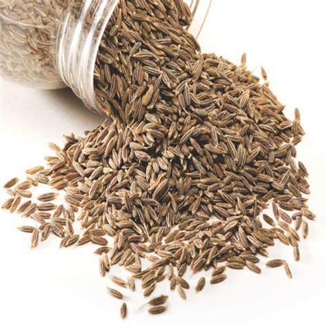 Purity 99 9 Aromatic Odour Rich In Taste Organic Cumin Seeds Grade