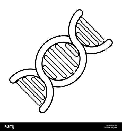 Vectores De Vectores De Icono De Estructura De Adn Fotograf As E