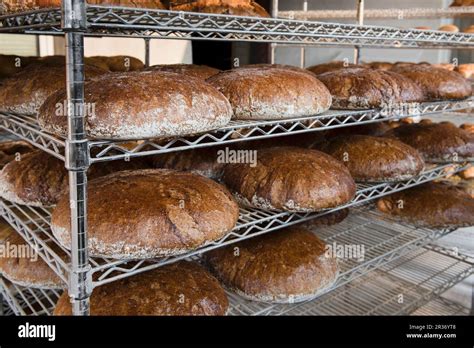 Loaves Of Graham Bread Baked In A Wood Fired Oven On Metal Shelves In A