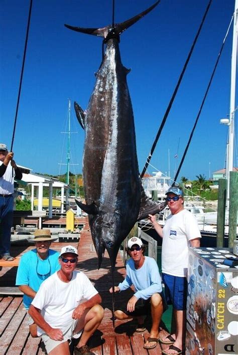 Shop For Fishing Tackle 247 At Fishing Headquarters