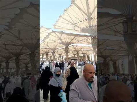 Keramaian Masjid Nabawi Setelah Sholat Asar Youtube